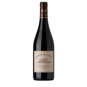 domaine Filliatreau - Saumur Champigny BIO